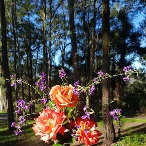 Meet your Posher, Cathy